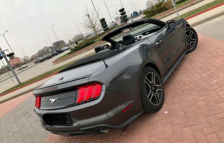 Аренда авто Ford Mustang 2019